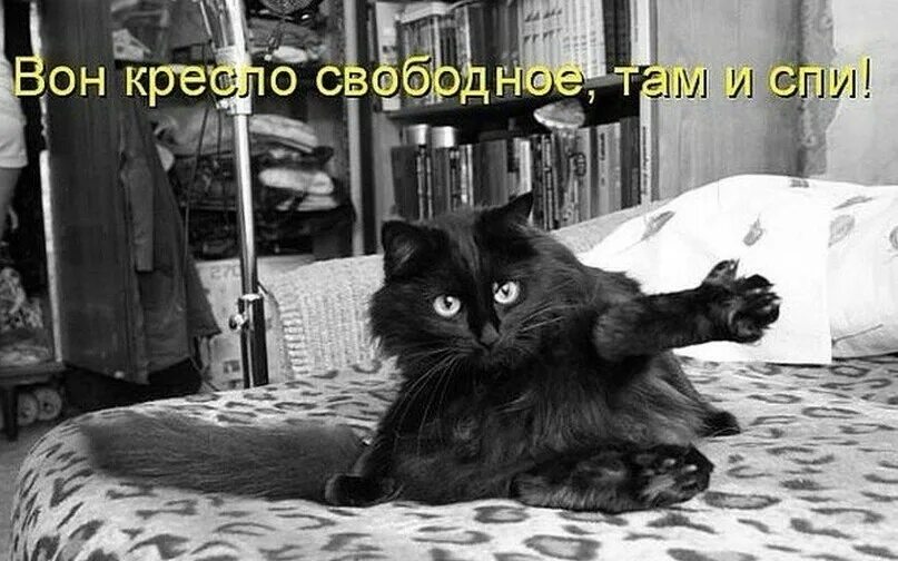 Ну где телефон