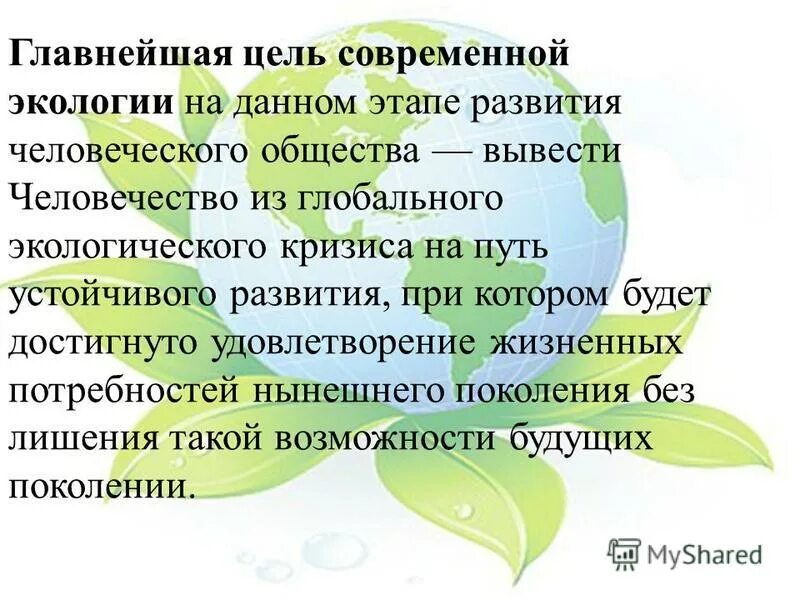 Современная экологическая теория. Главнейшая цель современной экологии. Задачи современной экологии. Основные цели и задачи экологии. Роль экологии в современном обществе.