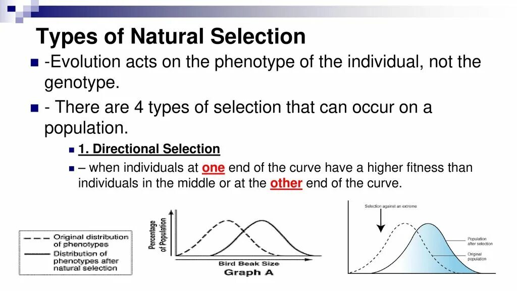 Types of natural. Natural selection Evolution. Stabilizing natural selection. Natural selection Biology. Natural selection Darwin.