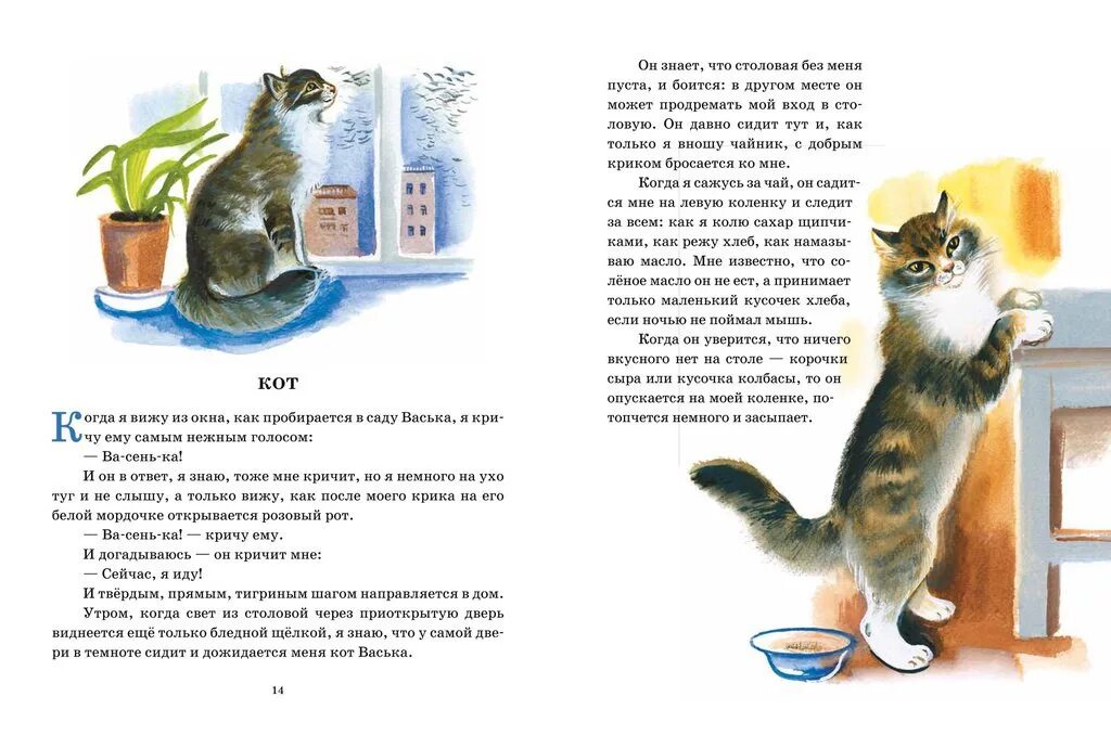 Книга про кота читать. Иллюстрации к рассказу Пришвина кот. Пришвин рассказ кот. Рассказ про кота. Произведения о котах.