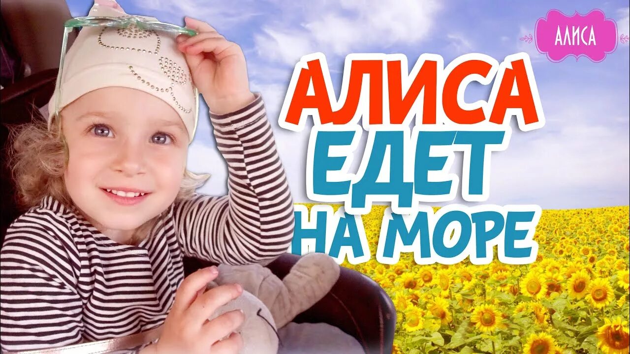 Смешные беседы с алисой. Пмж мемы. Где алиса алиса где. Смешные переписки с алисой. Алиса поехали.