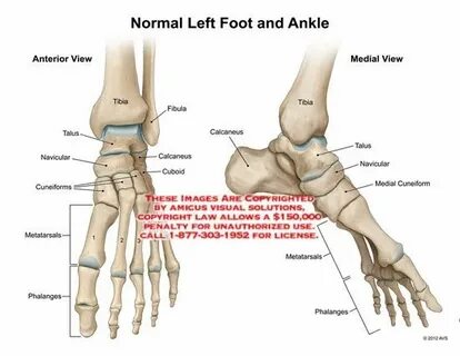 Ankle feet
