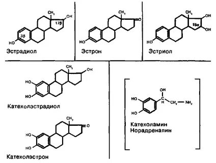 Эстрадиол
