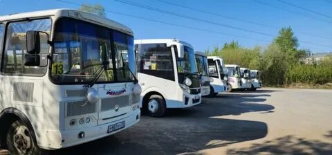 Автобус 25 сегодня