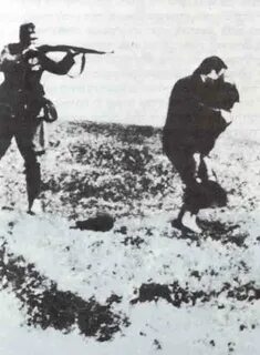 Расстреляли расстрел