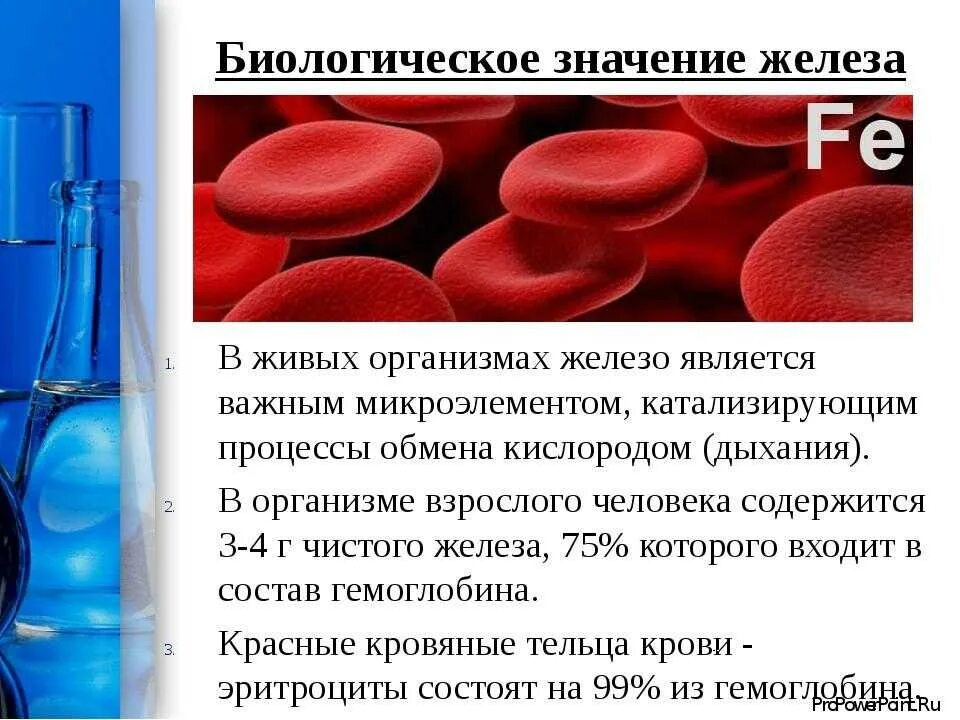 Что такое железо в организме. Железы организма. Железо в организме. Биологическая роль железа. Железо роль в организме.