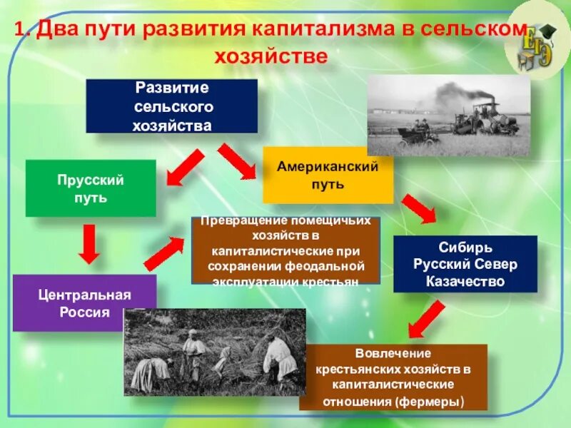 Пути экономического развития россии. История развития сельского хозяйства. Пути развития капитализма в сельском хозяйстве. Капитализм в сельском хозяйстве. Капиталистическая Эволюция сельского хозяйства.