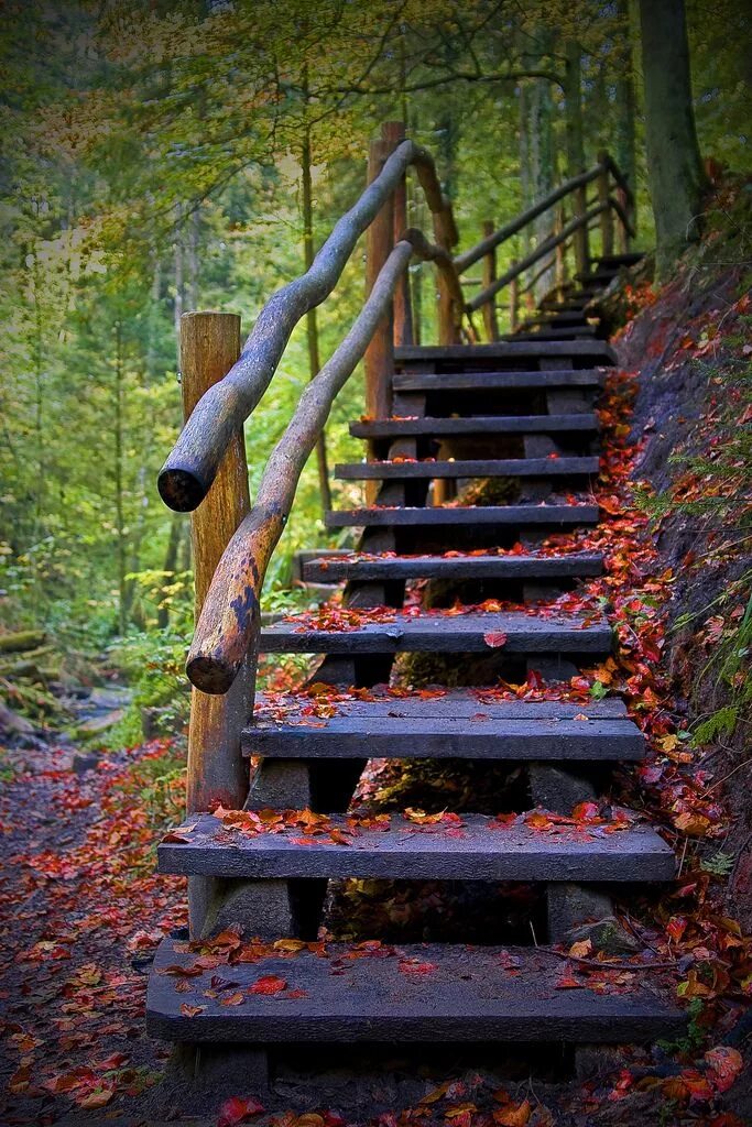 Roman Robroek Travel Around Europe Photographing Abandoned Staircases Staircase,