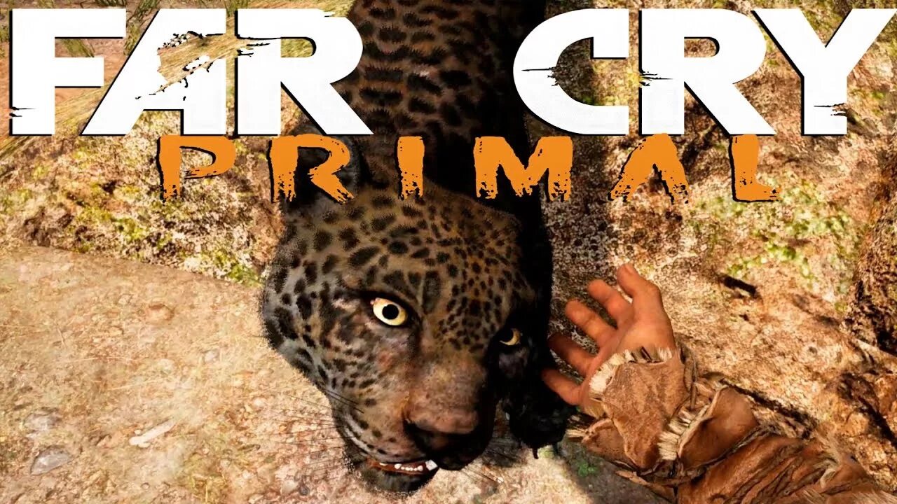 Приручить ягуара. Редкий черный ягуар far cry primal. far cry primal редкого ягуара.