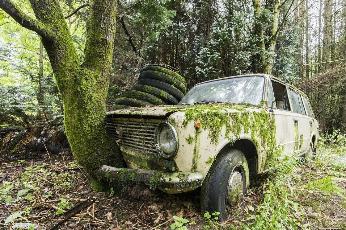 Брошенные автомобили. Заброшенные машины. Заброшенные места в лесу. Заброшенные машины в лесу.