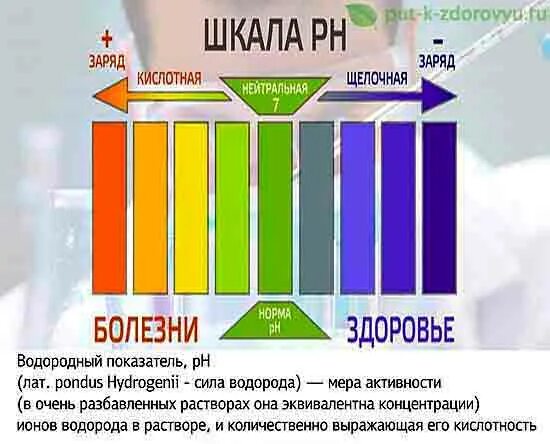 Кислая и щелочная вода. Щелочная вода польза. Польза слабощелочной воды. Показатель PH щелочных Минеральных вод.