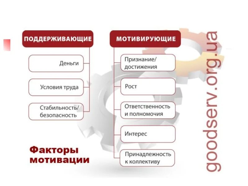 Система мотивации персонала в ресторане. Разработка системы мотивации персонала на предприятии. Мотивация сотрудников кафе.