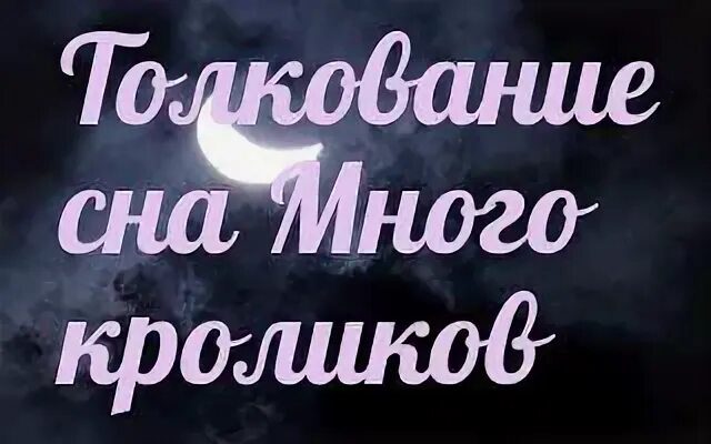 Поймать кролика во сне. Сонник-толкование снов к чему снится кролик. Сонник снится крольчонок. Сонник к чему снится во сне увидел кроликов.