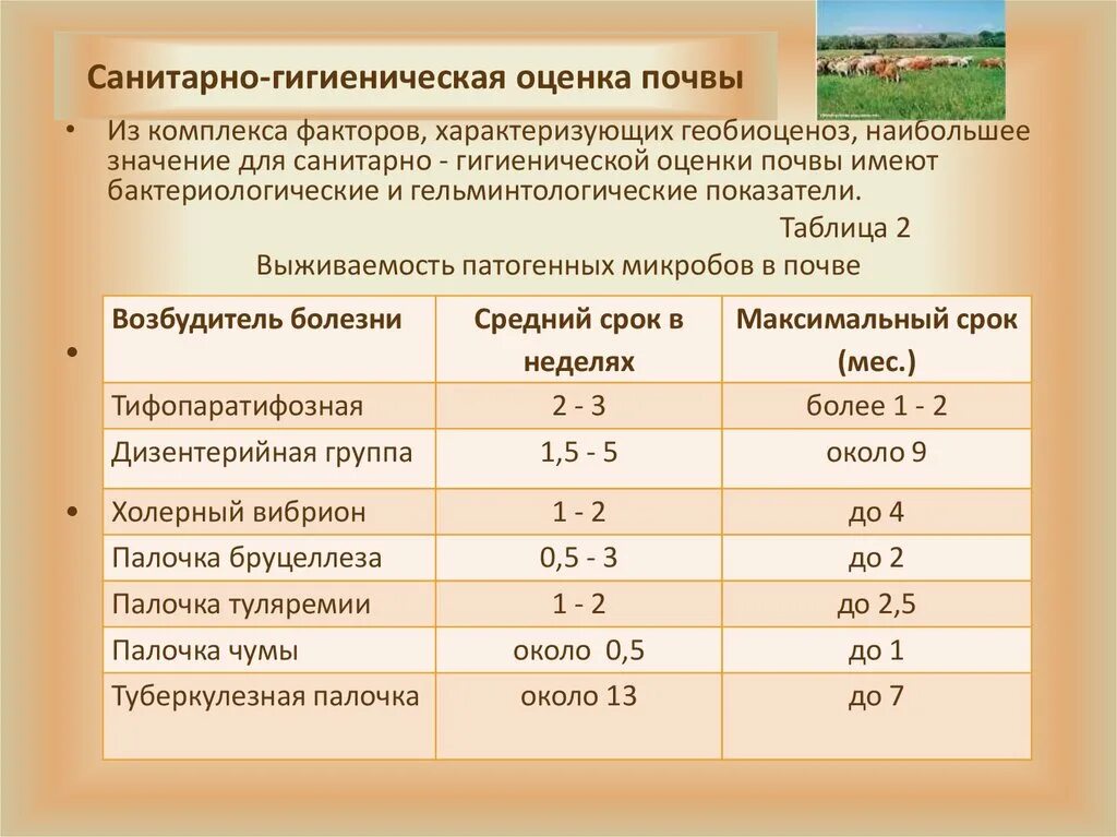 Гигиеническая частота. Санитарно-гигиеническая оценка почвы. Гигиеническая оценка почвы. Гигиенические показатели почвы. Санитарно-гигиенические показатели почвы.