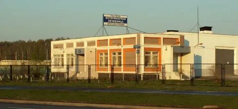 Ветклиника в южном бутово государственная