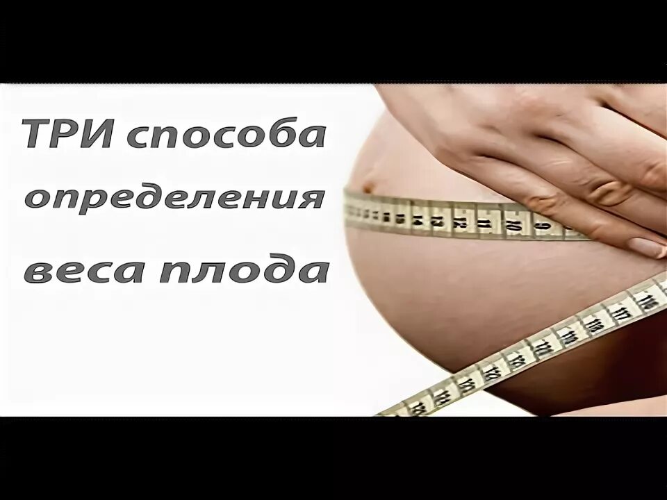 Вес живота беременной. Вес плода по окружности живота. обхват живота у беременных по неделям. окружность живота по неделям. как определить вес плода по окружности живота.