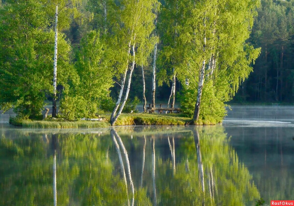 парк осиновая роща. большое озеро осиновая роща. осенняя заводь. осиновая роща вода. вечер осиновая роща.