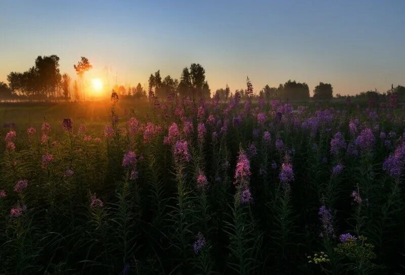 Самый ранний восход. Пейзаж с ранним рассветом. Когда в Жуковском самый поздний закат летом.