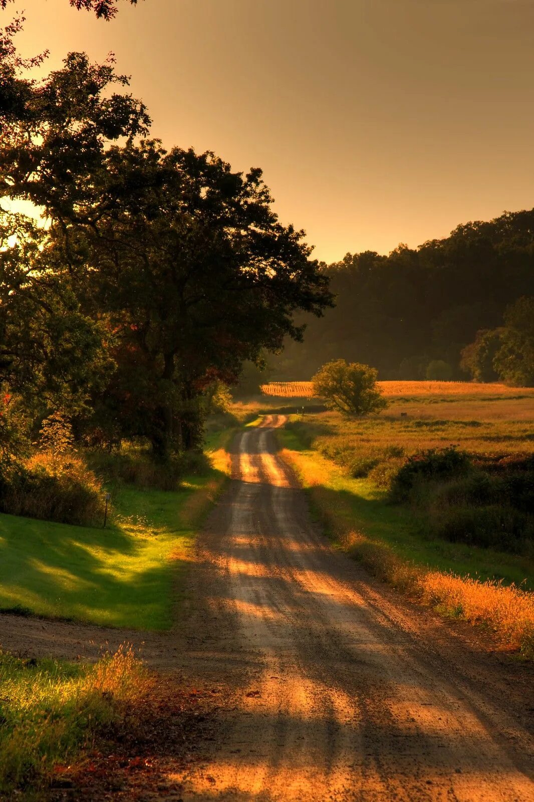 County roads. Природа. Пейзаж дорога. Пейзаж с дорогой. Красивая природа дорога.