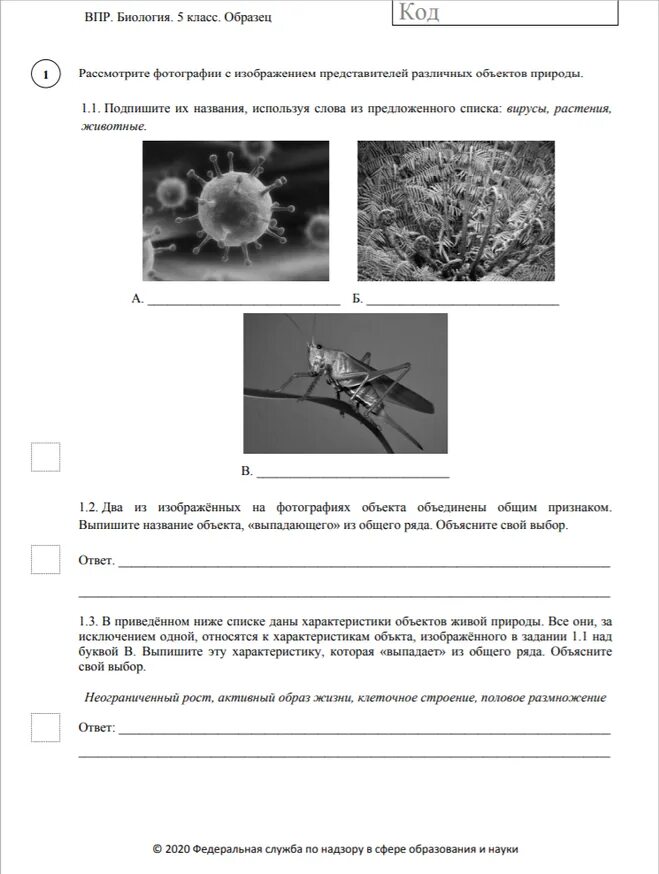 ВПР 5 класс биология ответ 2.2. Биология 5 класс ВПР 2020 задание 7 ответы. Биология 5 класс ВПР 2020 задание 6 ответы. ВПР 5 класс биология 2022 с ответами. Впр по биологии второй вариант