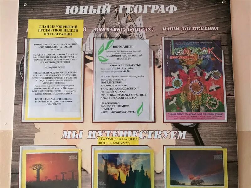 Неделя биологии и географии. План недели географии в школе. План недели биологии. План недели географии. Неделя географии в школе.