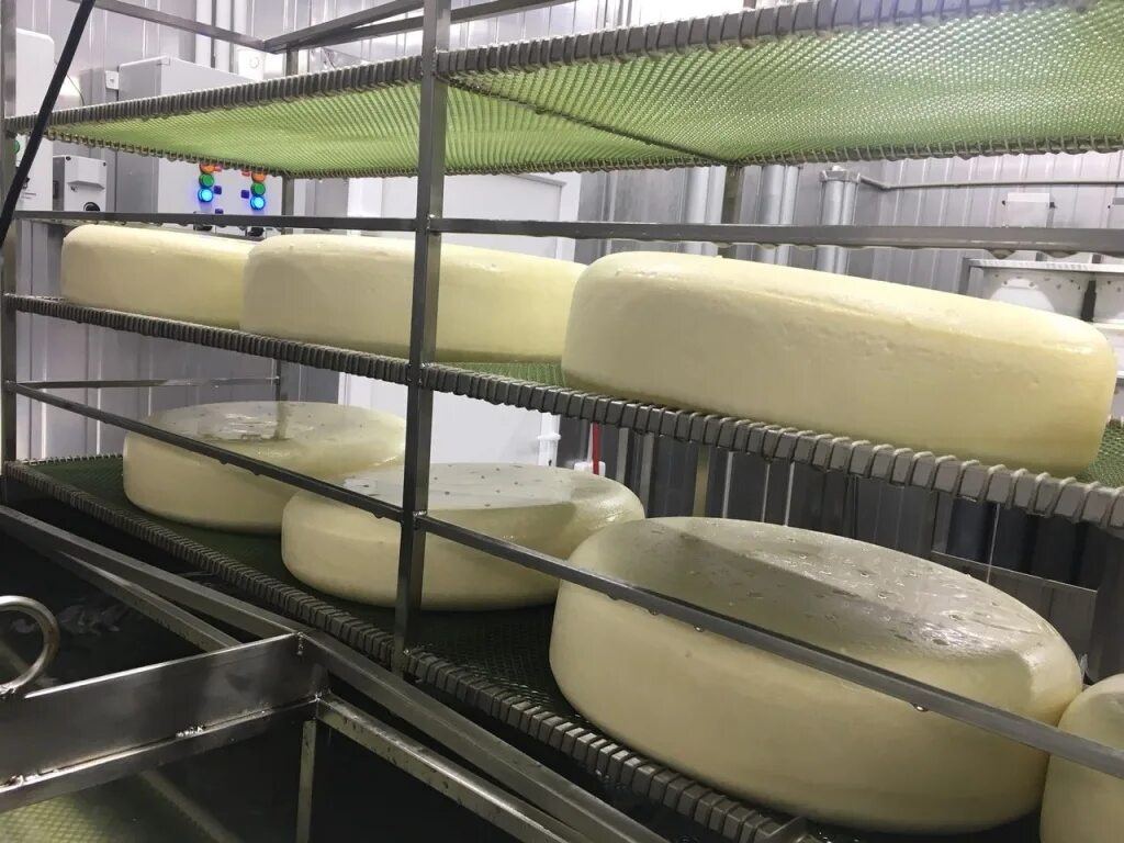 Сыроварня на 1000 литров. Сыроварня молоко. Оборудование для переработки молока. Сыроварня молоко. Сыродельная ванна вс 250.