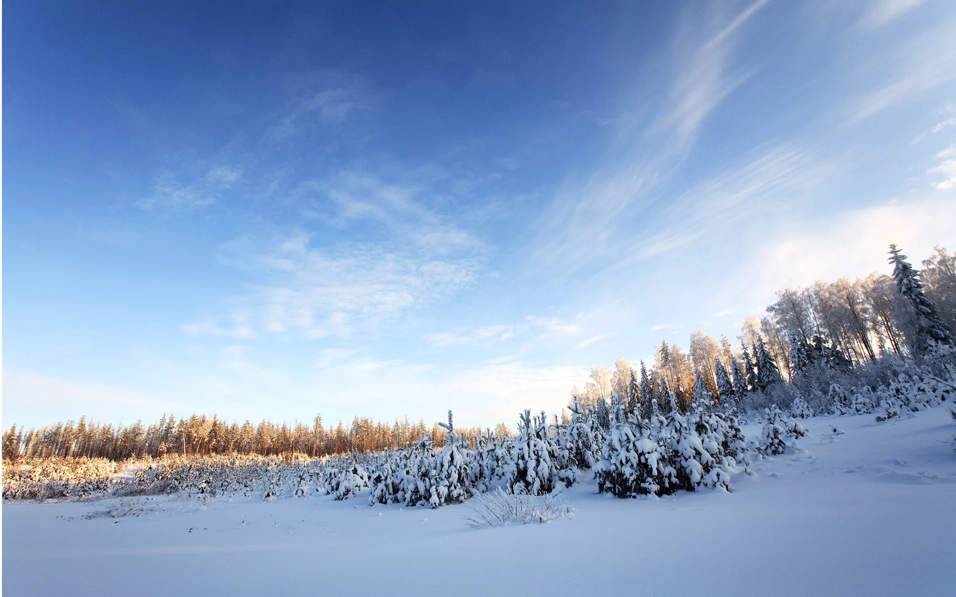 Snow sky