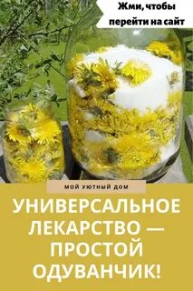 Одуванчик рецепты лекарственные
