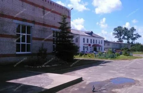 Погода в беласовке нижегородской