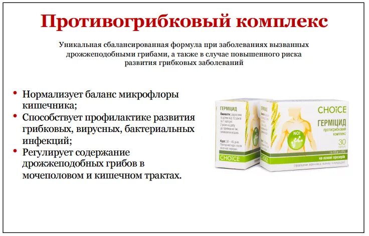 Антикандидная диета. Противогрибковый протокол питание. Противогрибковые травы и растения список. Протокол питания при кандидозе. Антикандидная диета.