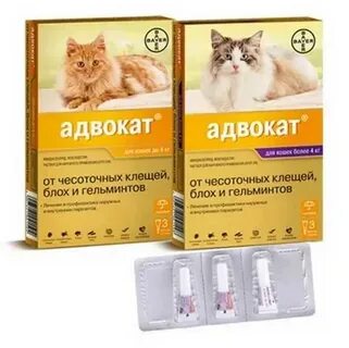 Самые эффективные капли от блох