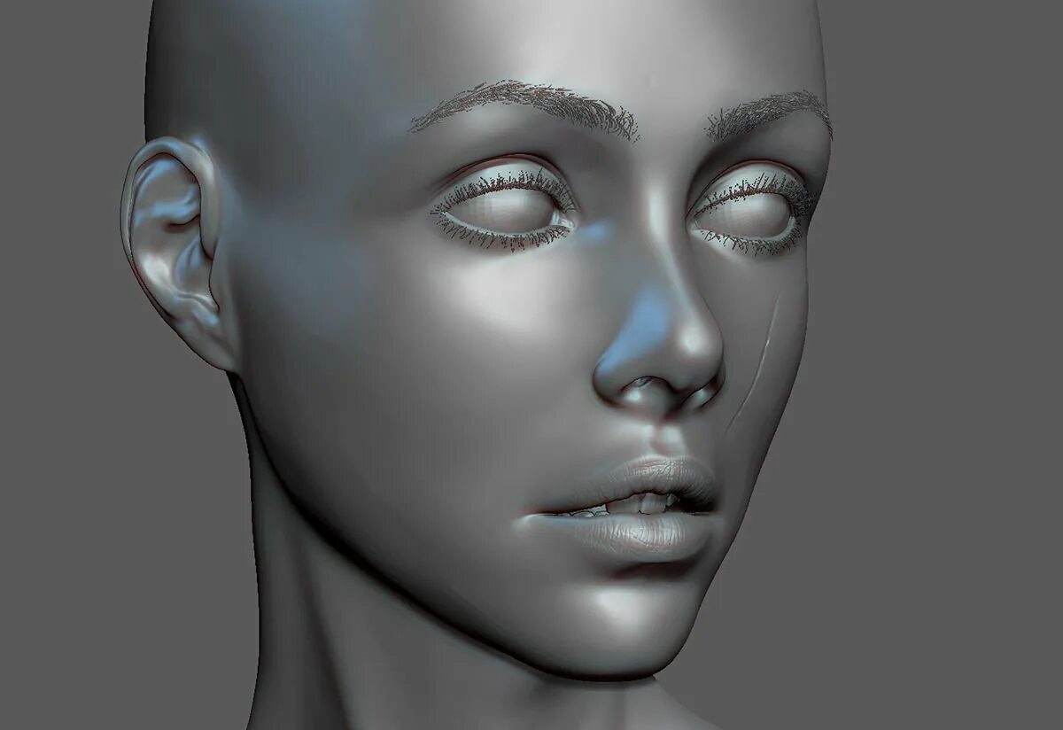 Фигура лица. Анатомия лица Zbrush. Скульпт головы Zbrush. 3d моделирование Zbrush. Анатомия головы Zbrush.