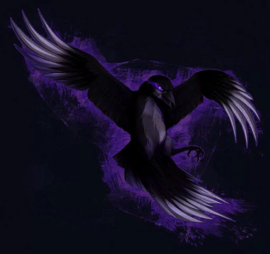 Черный фиолетовые рисунки. Фиолетовый ворон. Фиолетовая ворона. Ворон во тьме. Фиолетовый Орел.