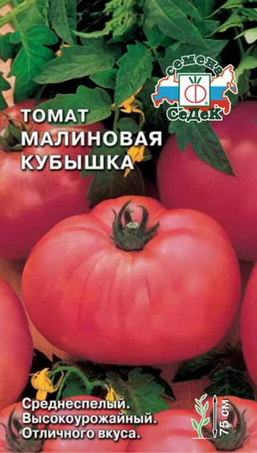 Томат кубышка изумрудная. Томат малиновая кубышка. Томат торбей f1. Томаты кубышка описание сорта. Томат малиновая кубышка.