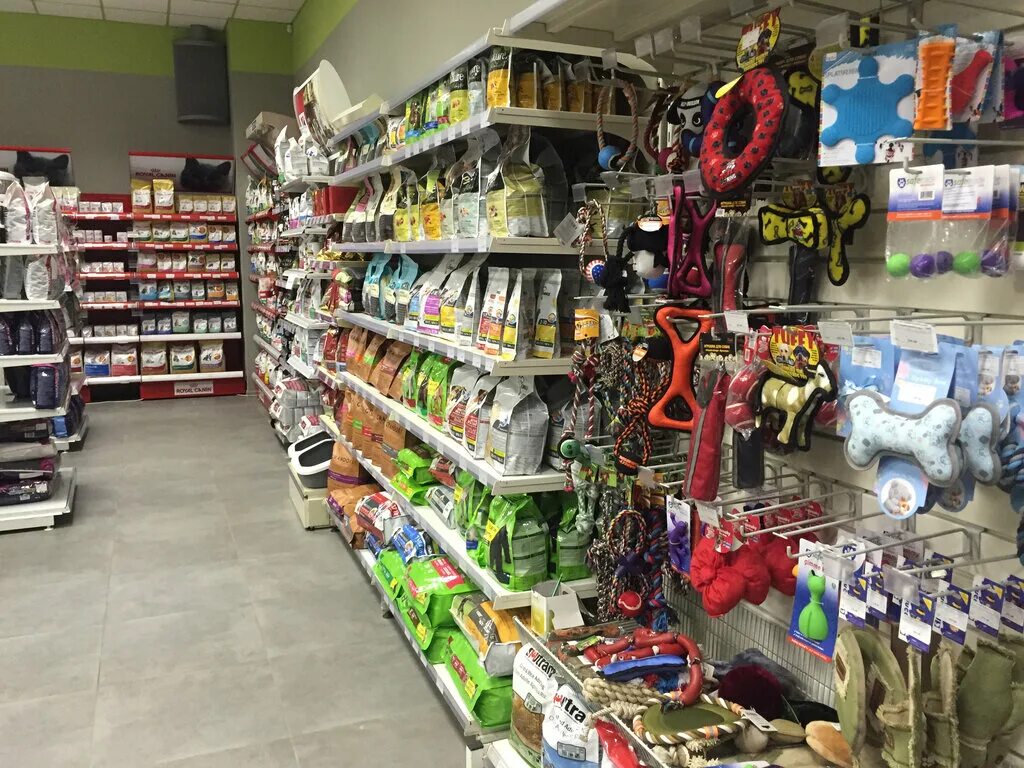 зооландия спб. зоомагазин с животными спб. зоотовары спб. зоомагазин. зоомир спб.