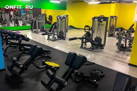 Фитнес королев пионерская