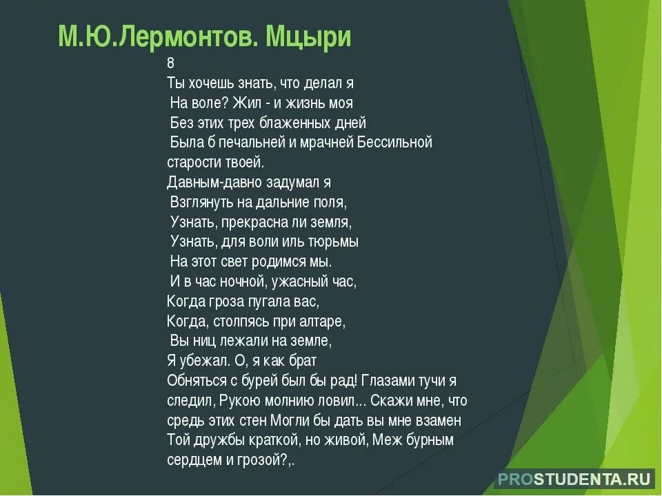 Мцыри 8 глава