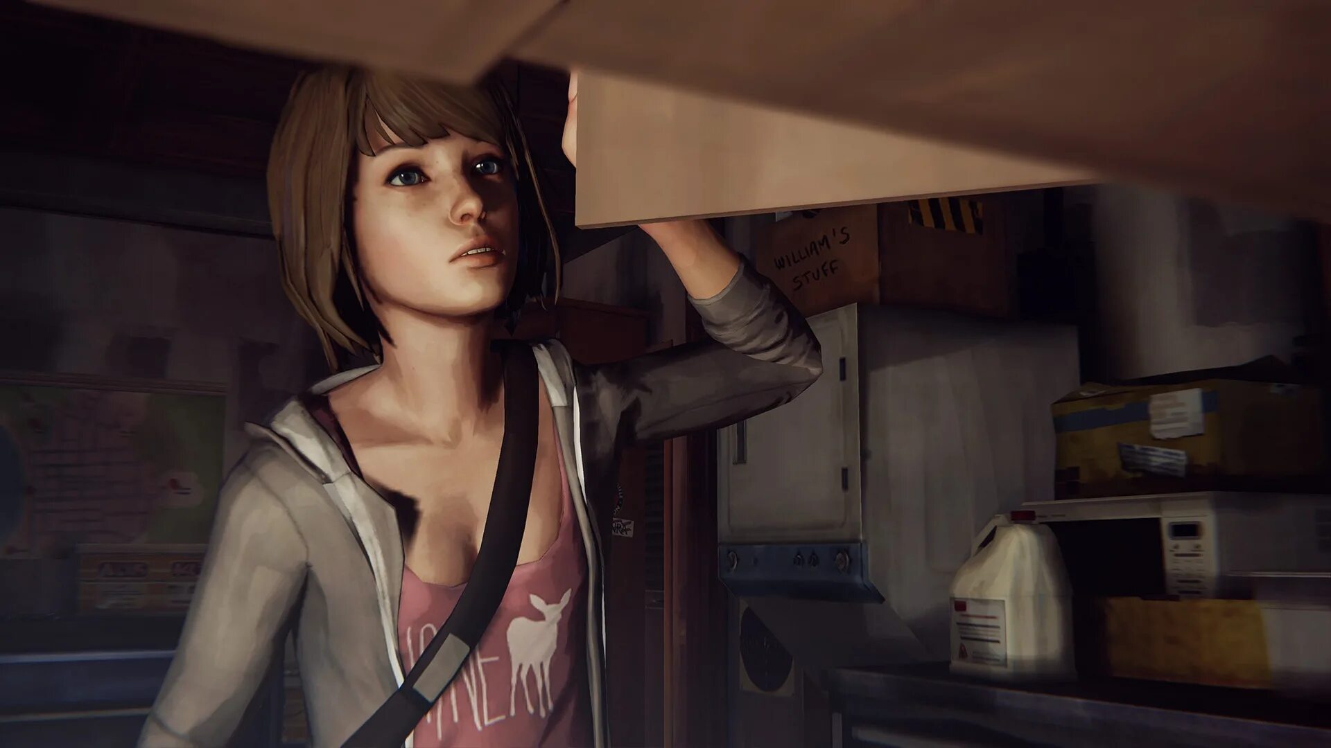 Life is strange где. Игра Life is Strange. Life is Strange 1 эпизод. Максин Колфилд. Лайф из Стрэндж 3.