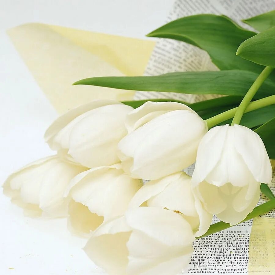 Белые цветы my way. Белые цветы my way
