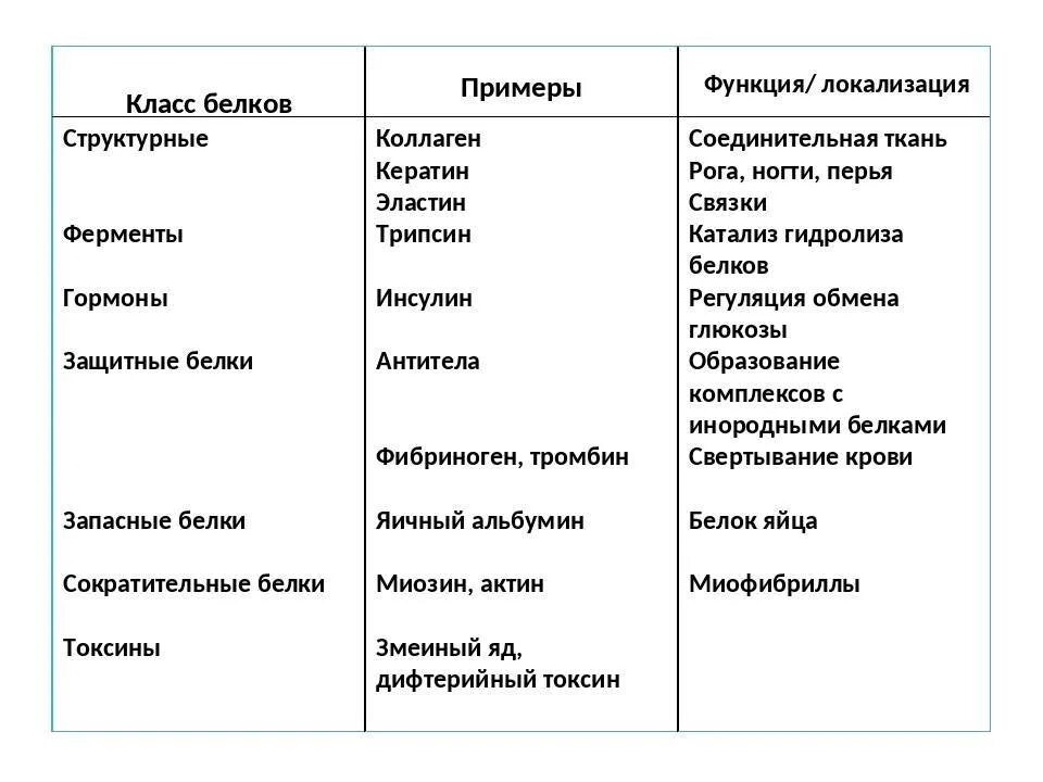 Ферменты белков примеры