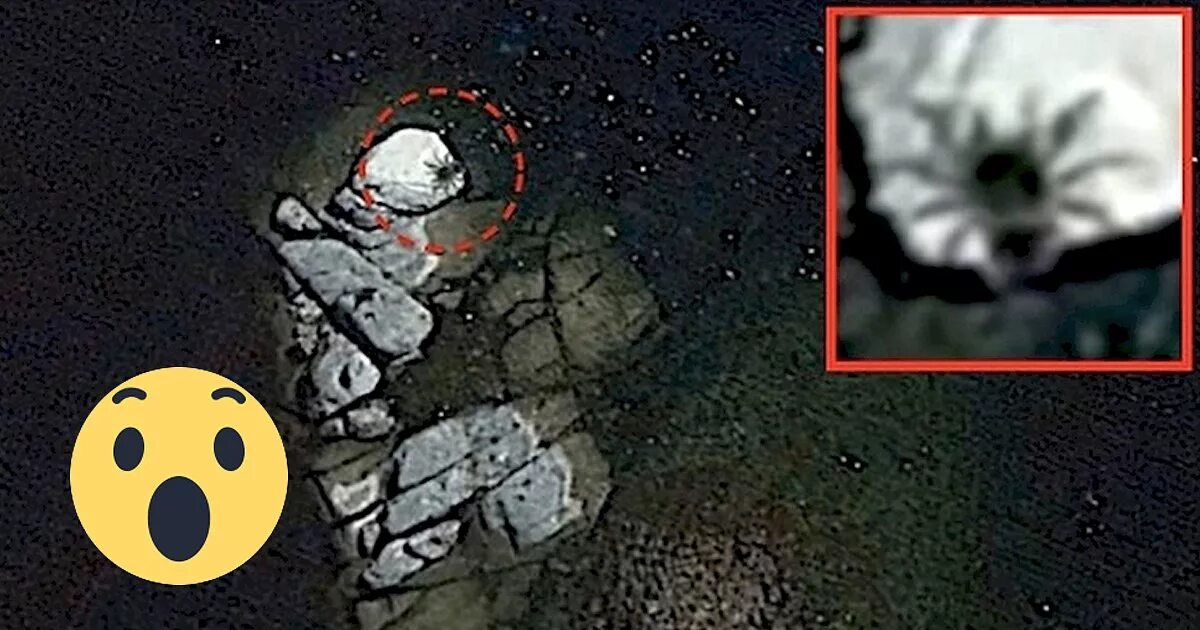 Карта нло. Нло на гугл картах. 45.70333,21.301831 нло. нло на гугл картах координаты.