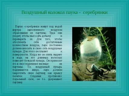 Под колокол воздушного