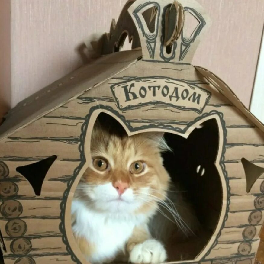 Котодом. Котодом домики для кошек. надпись на домике кота. надписи на кошачий дом. котодом табличка.