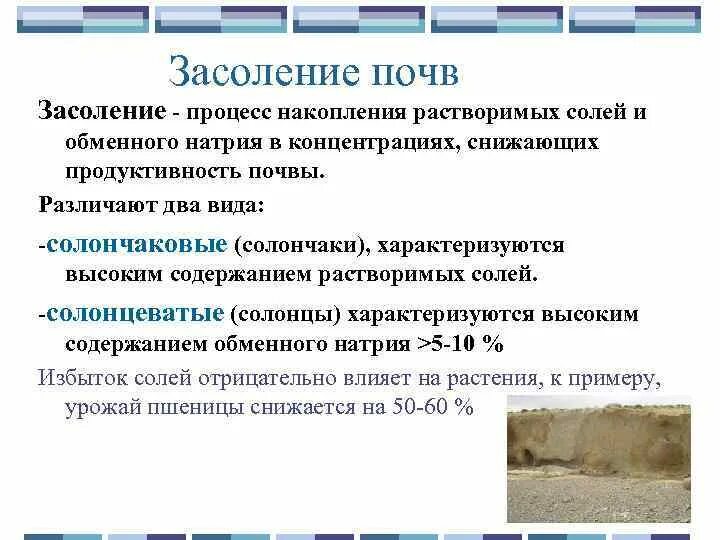 Сильно засоленные почвы россии. Первичное и вторичное засоление почв. Засоление почв это определение. Засоление почв последствия. Естественное засоление почв.