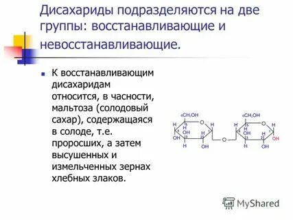 Мальтоза является