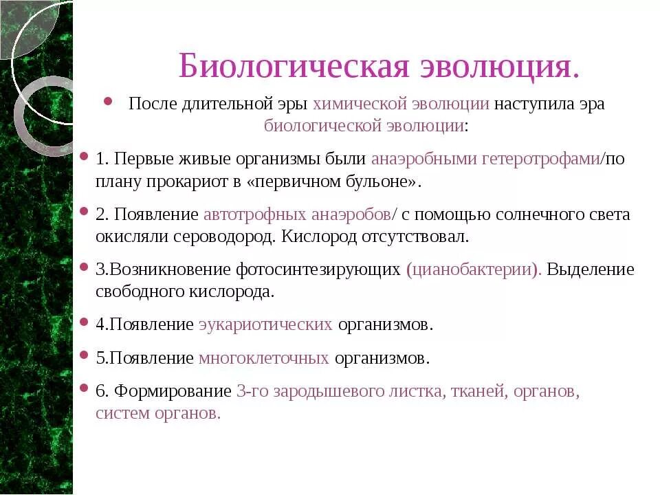 Химическая эволюция живого. Эра биологической эволюции. Этапы биологической эволюции. Этапы химической и биологической эволюции. Эволюция это в биологии.