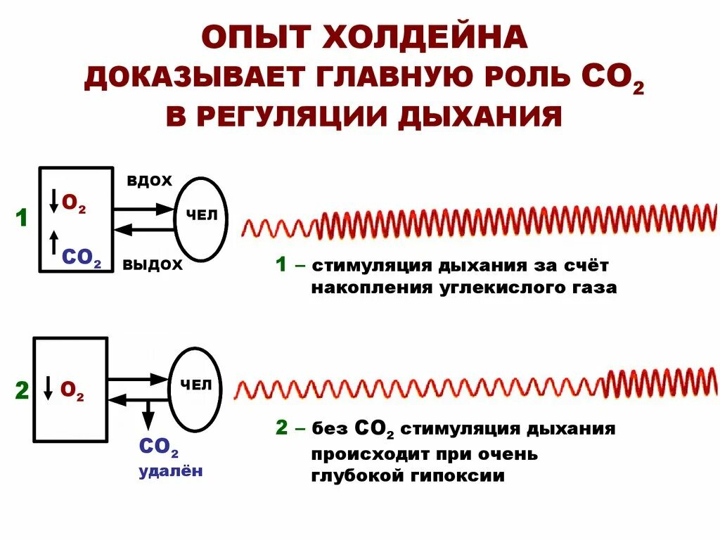 Эффект холдейна. Эффект холдейна