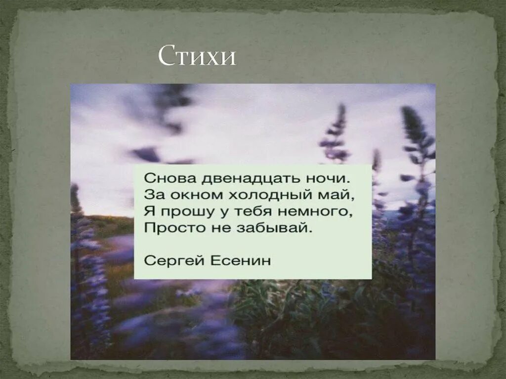 Стишок про легкие. Стихотворение о природе Есенин. Стихи Есенина. Стихи Есенина о природе. Стих о природе маленький и легкий.