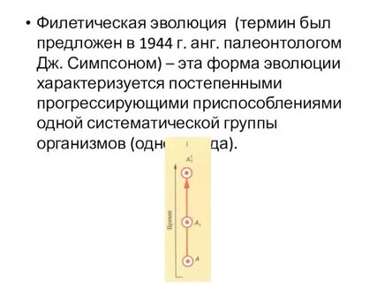 Филетическая эволюция