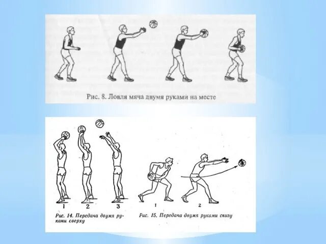 Ловля и передача мяча на месте. Быстрая передача и ловля мяча на месте.. Освоение ловли и передач мяча.. Ловля и передача мяча от груди начальная школа. Ловля и передача ведение